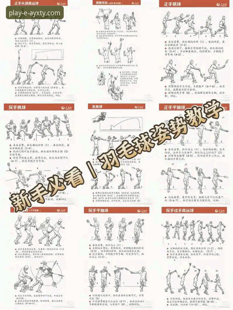 爱游戏体育安装教程 揭秘爱游戏体育安装教程:新手也能轻松上手的完整指南,这些细节你不知道的事